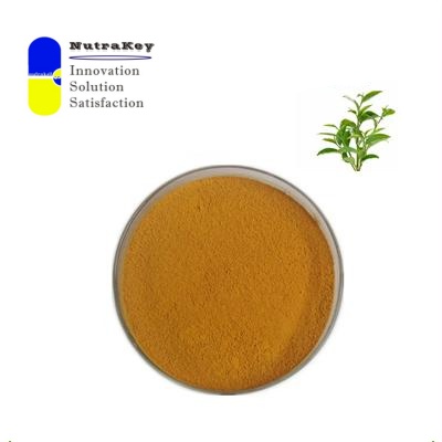 Premium Black Tea Extract Powder 10% Total Polyphenols | High Purity Camellia Sinensis | Antioxidant &amp; Heart Health Support
