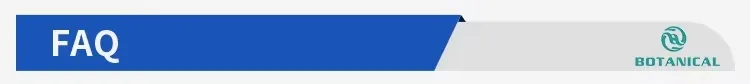 Production Pipeline