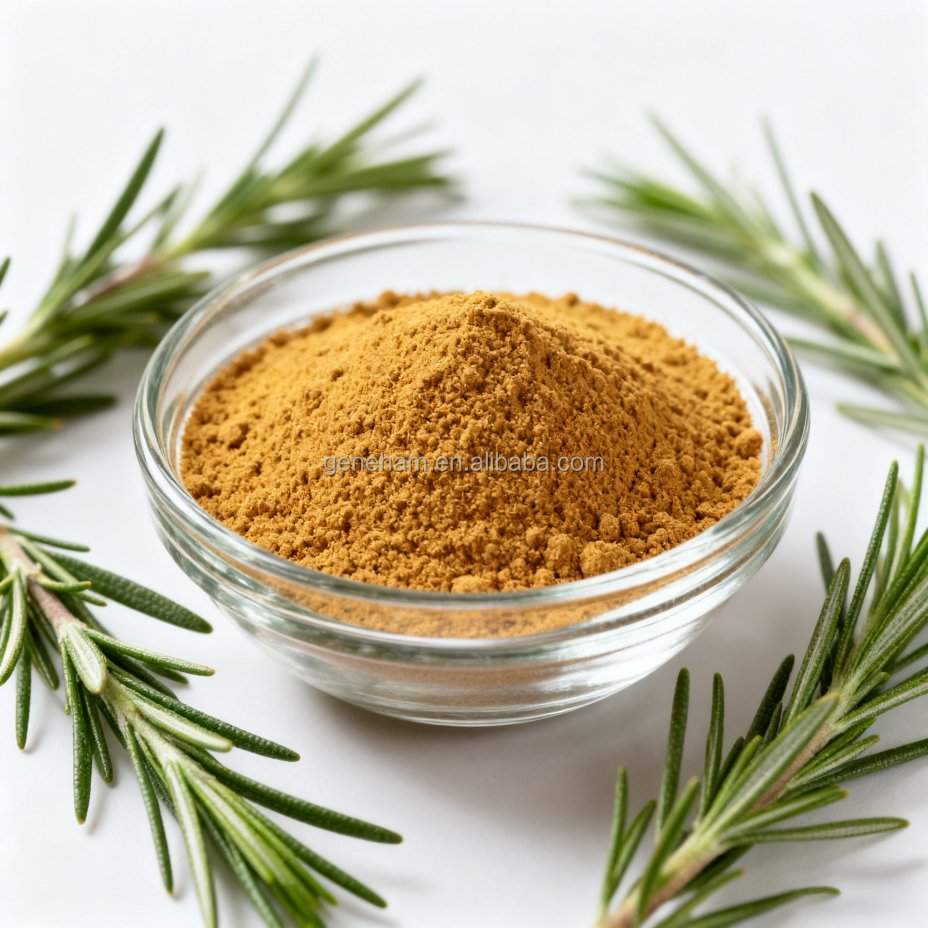 Rosemary Extract Rosmarinic Acid Powder for Natural Hair Health Solutions