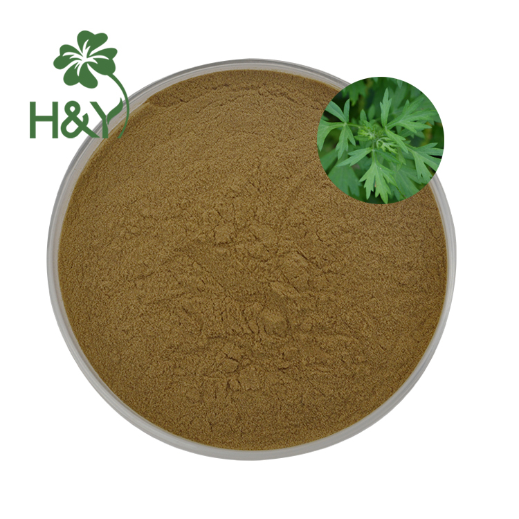 Mugwort Extract Powder Details