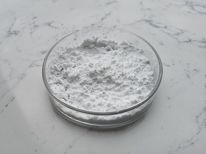 Halal Manufacturer Provide Andrographis Paniculata Extract Powder 10% 50% 98% Andrographolide