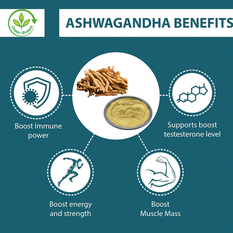 Standardized Natural Raw 2.5% 5% 10% Withanolides Certified Organic Ashwagandha Root Extract Capsules Ashwagandha Powder