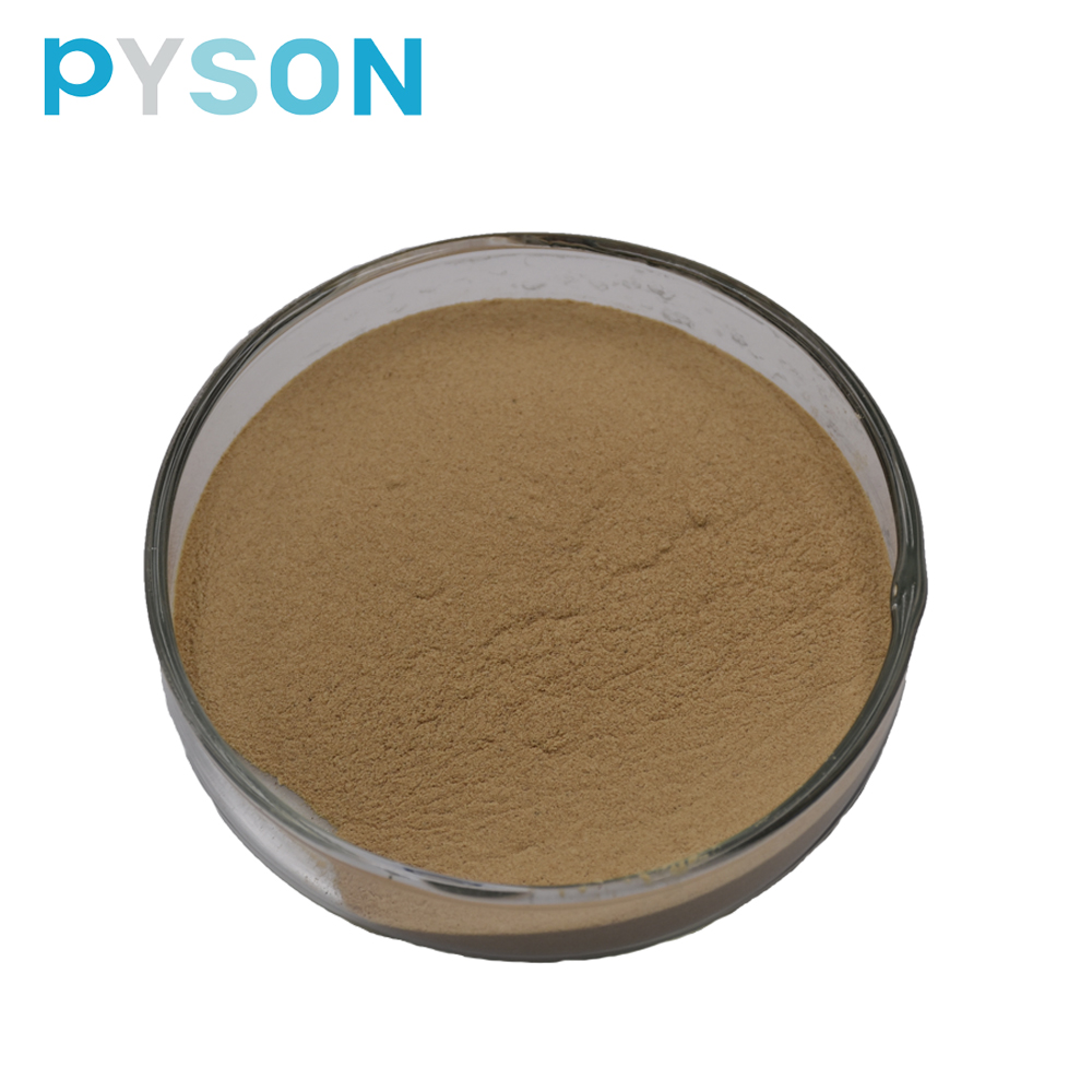 Hot Sell Organic Natural White Willow Tree Bark Extract Skin Anti-inflammatory