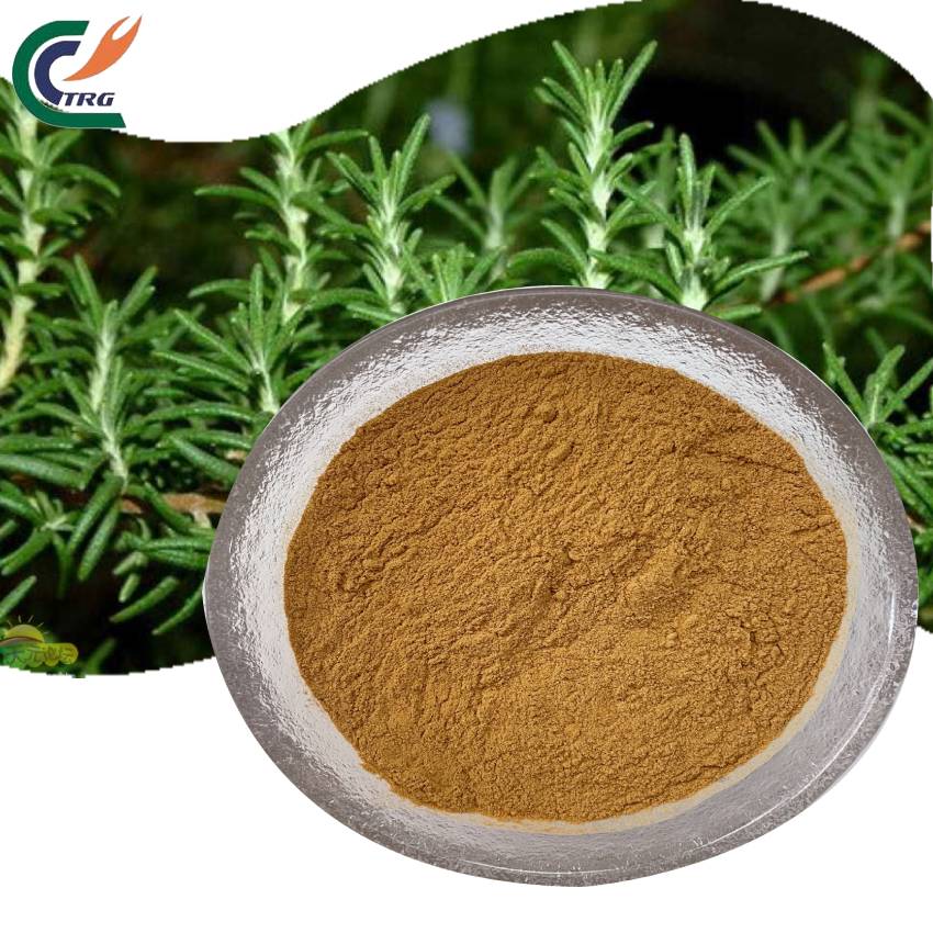 Rosemary Extract Powder Product View 4