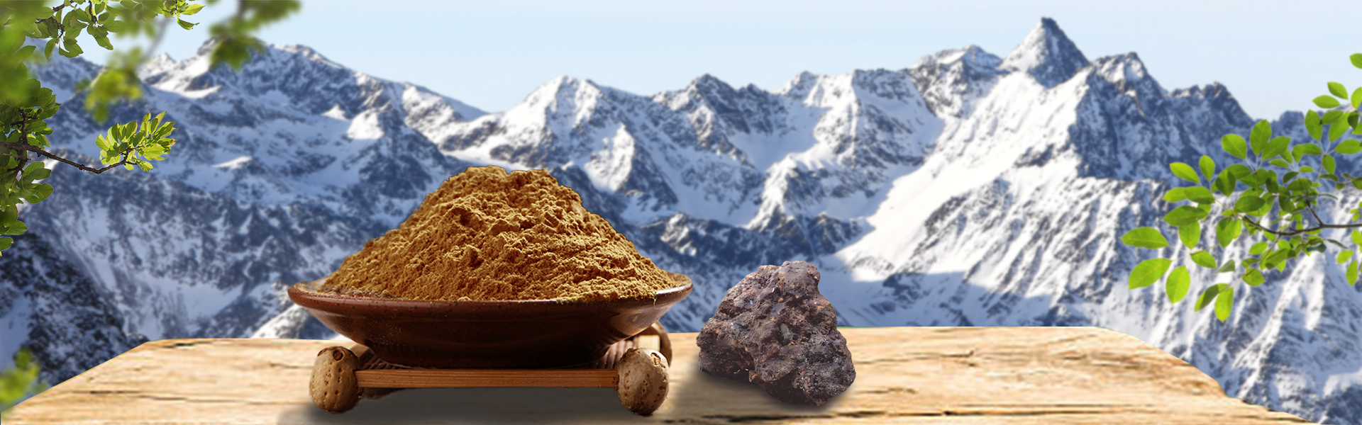 Shilajit Extract Powder