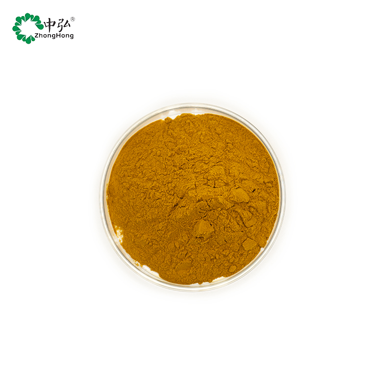 Plant Extract Herbal Supplements Lychee Seed Extract Powder Food Grade Solvent Extraction