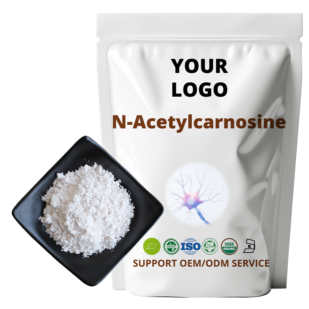 Fairir Factory Pure 99% N-Acetylcarnosine Herbal Extract Powder Eye Health Supplement Food Grade Bulk Antioxidant Free Sample