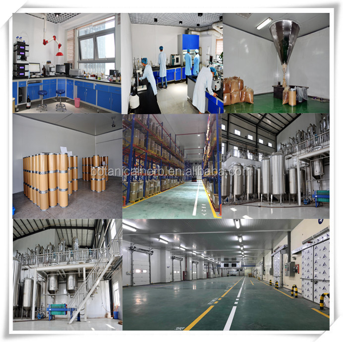 B.C.I Supply Chinese Traditional Herb Cnidium Fruit Extract Osthole 60% Cnidium Monnieri Extract