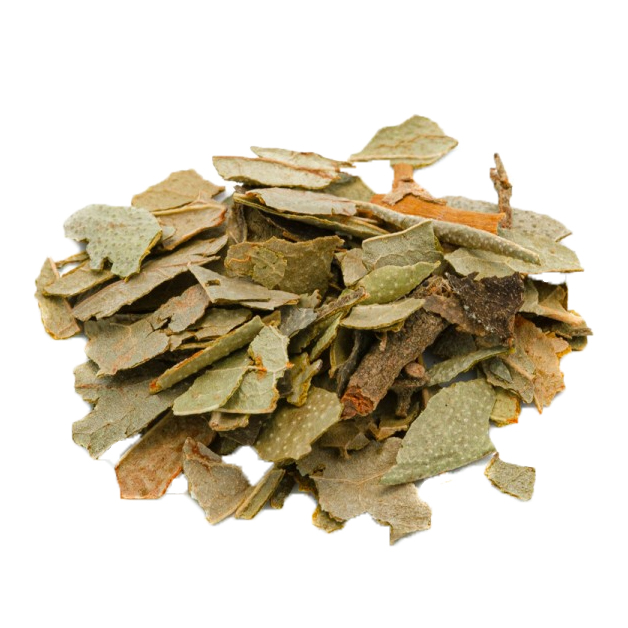 Natrual Plant Extract 10:1 20:1 Boldo Leaves Leaf Extract Powder