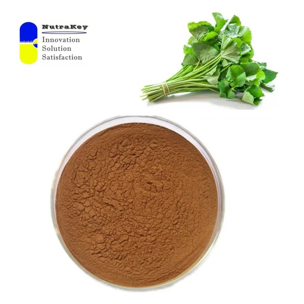 Premium Gotu Kola Extract Powder 10% Triterpenes, Centella Asiatica, for Cosmetics &amp; Dietary Supplements