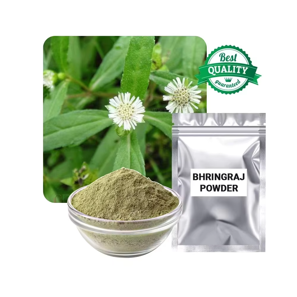 Top Selling 100% Pure Organic Bhringraj Powder Ayurvedic Herb Extract for Hair Growth Hair Fall Control &amp; Strong Healthy Hair