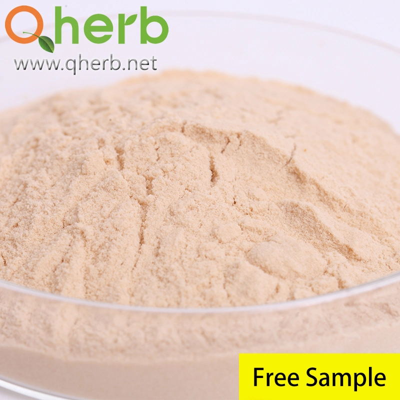 ISO Certificate Natural Nutrition Pumpkin Flour Powder/Pumpkin Seed Extract with Best Price
