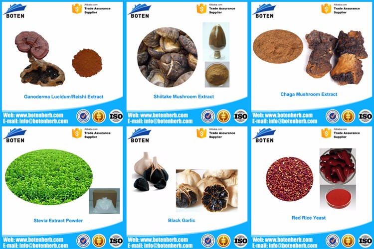 Hot Sales Products