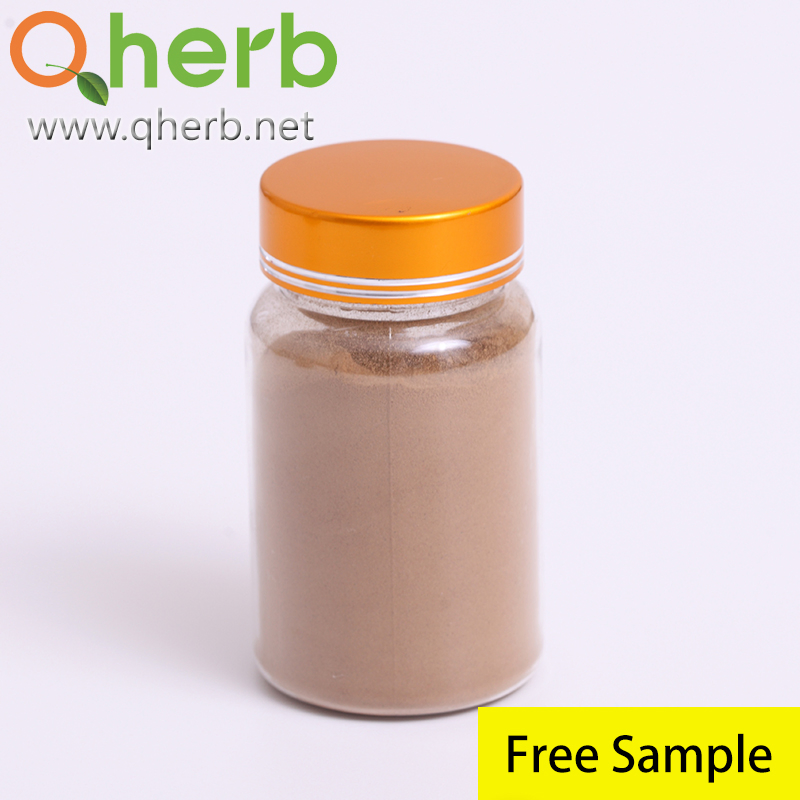 Nutrition Supplement 20% Horny Goat Extract Epimedium Extract