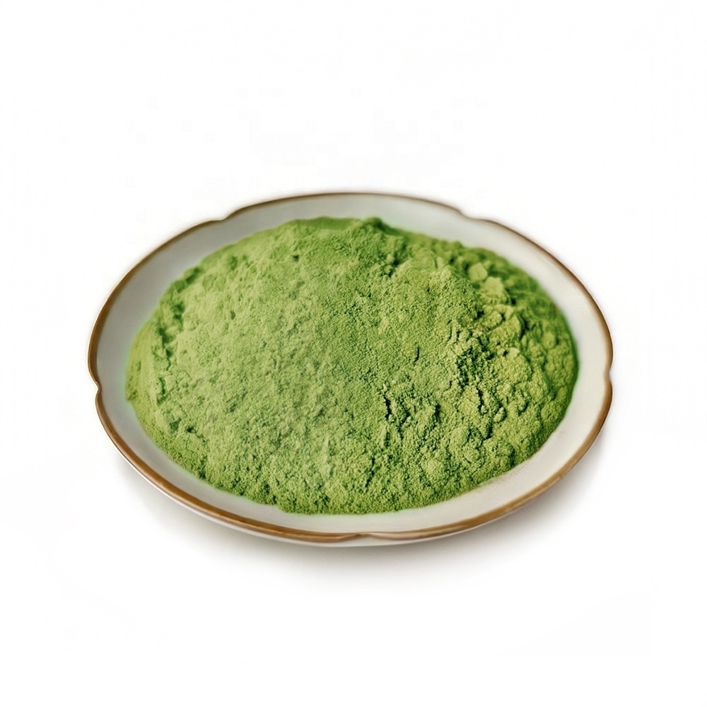 High Purity Natural Wheatgrass Powder Herbal Extract Water Extract for Beverages and Food Applications in Bottle/Drum Packaging