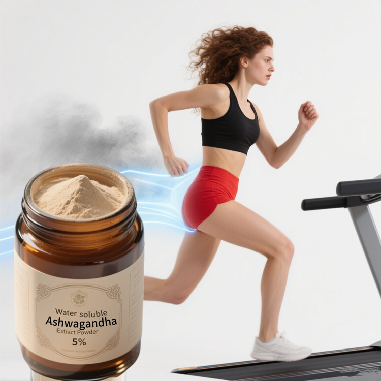 Wholesale Wholesale Plant Extract Ashwagandha Root Extract Powder Withanolides 2.5% 5% 10% C Ayurvedic Extract