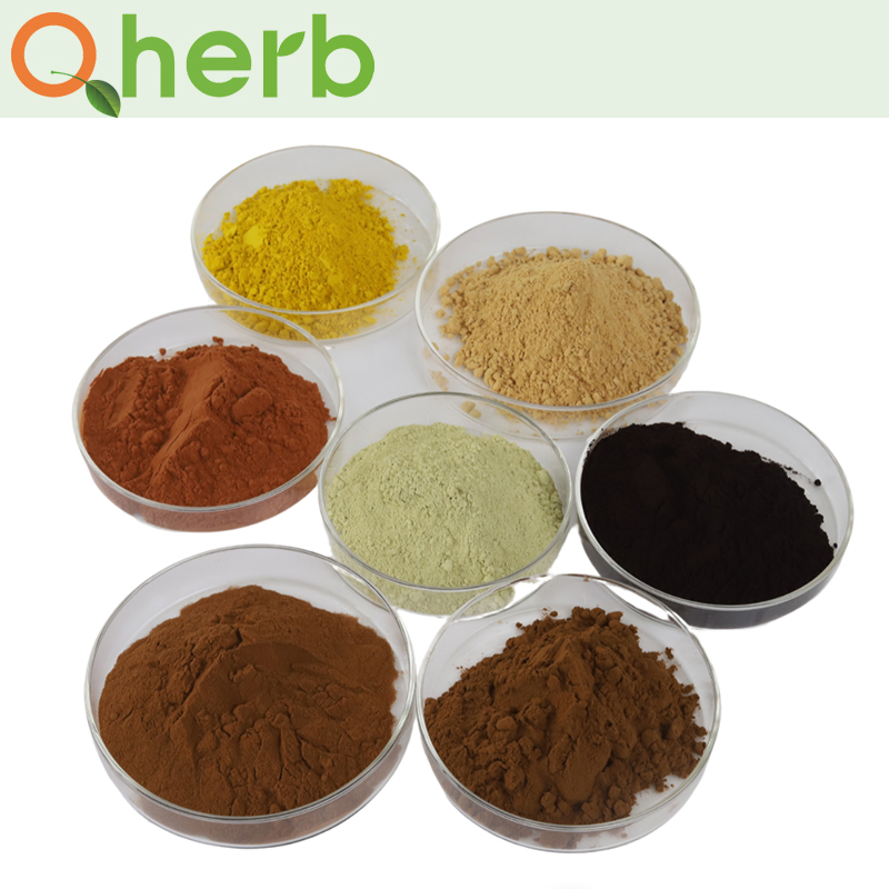 ISO Harpagoside Harpagophytum Procumbens Devil′ S Claw Extract for Health Care