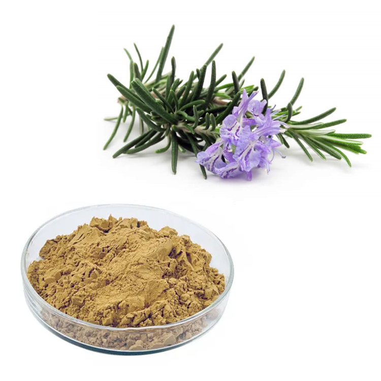 Organic Plant Extract Rosemary 5% 10% Carnosic Acid 3650-09-7 Water Soluble Rosemary Extract