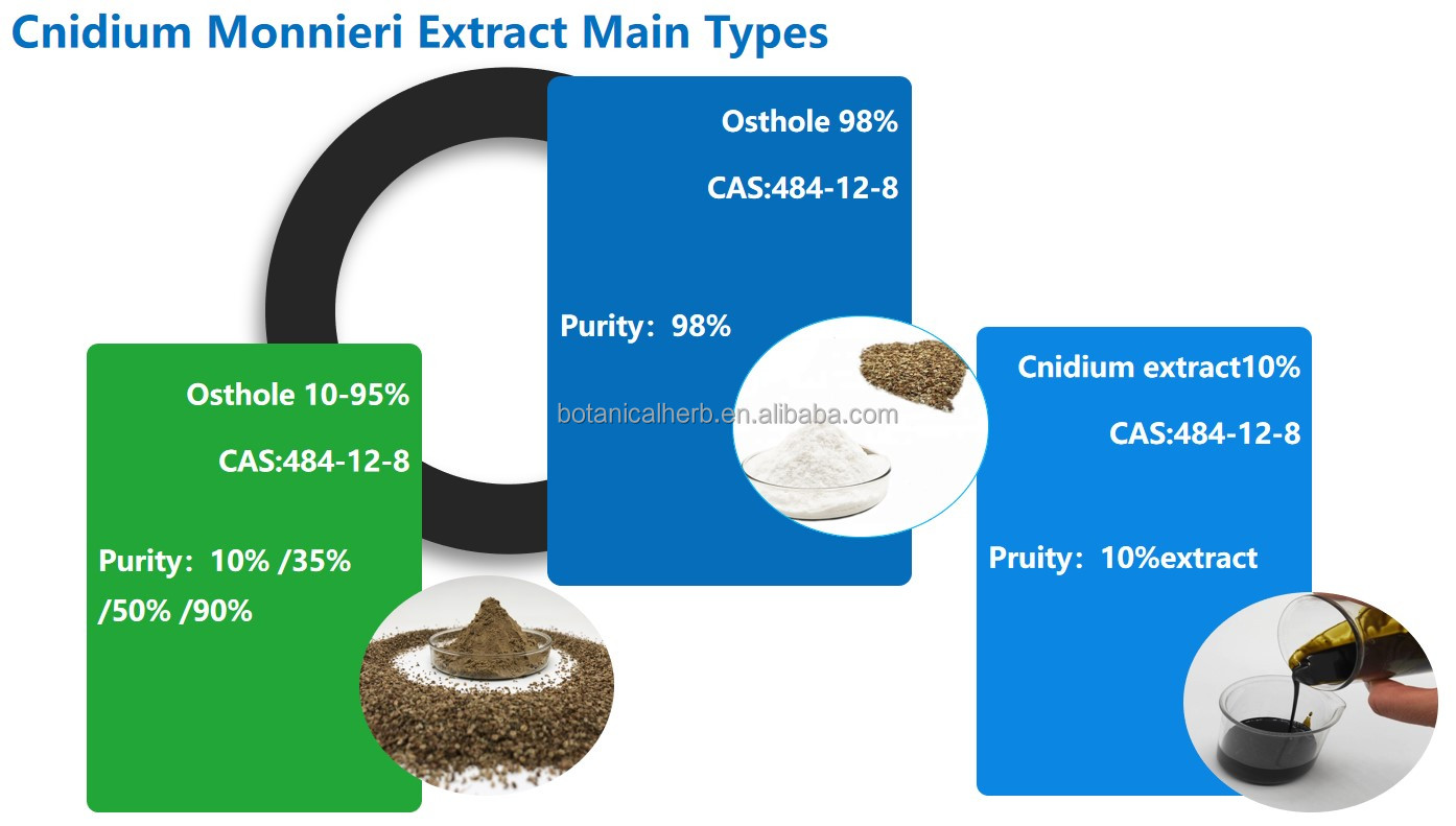 Cnidium Seeds