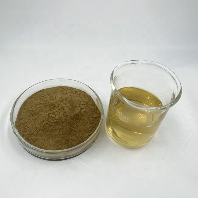 Moringa Leaf Extract Powder