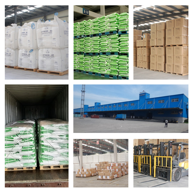 Tianjia Direct Factory Price Powdered Pure Herbal Extract Plant Extract Fenugreek Extract