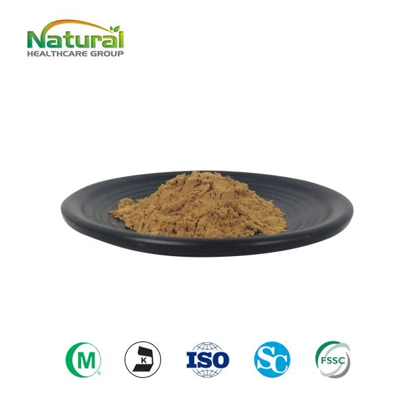 QYherb Supply High Quality Plant Extract Pine Needle Leaf Extract 10:1/20:1 Free Sample
