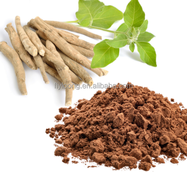 Direct Factory 2.5% Ashwagandha Dry Extract Ayurvedic Super Herb From Japan for Wellness and Natural Health Food Additives