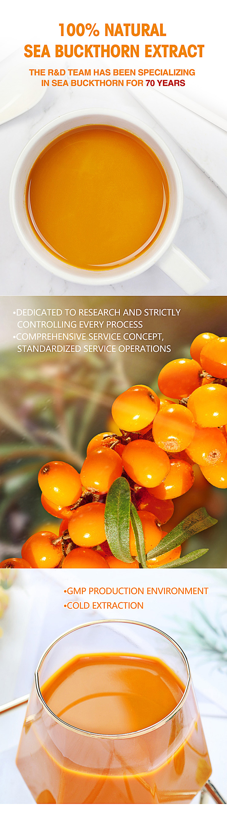 Direct From the Factory: 100% Natural Sea Buckthorn Herbal Extract Concentrate, Cold-pressed, with No Added Antioxidants