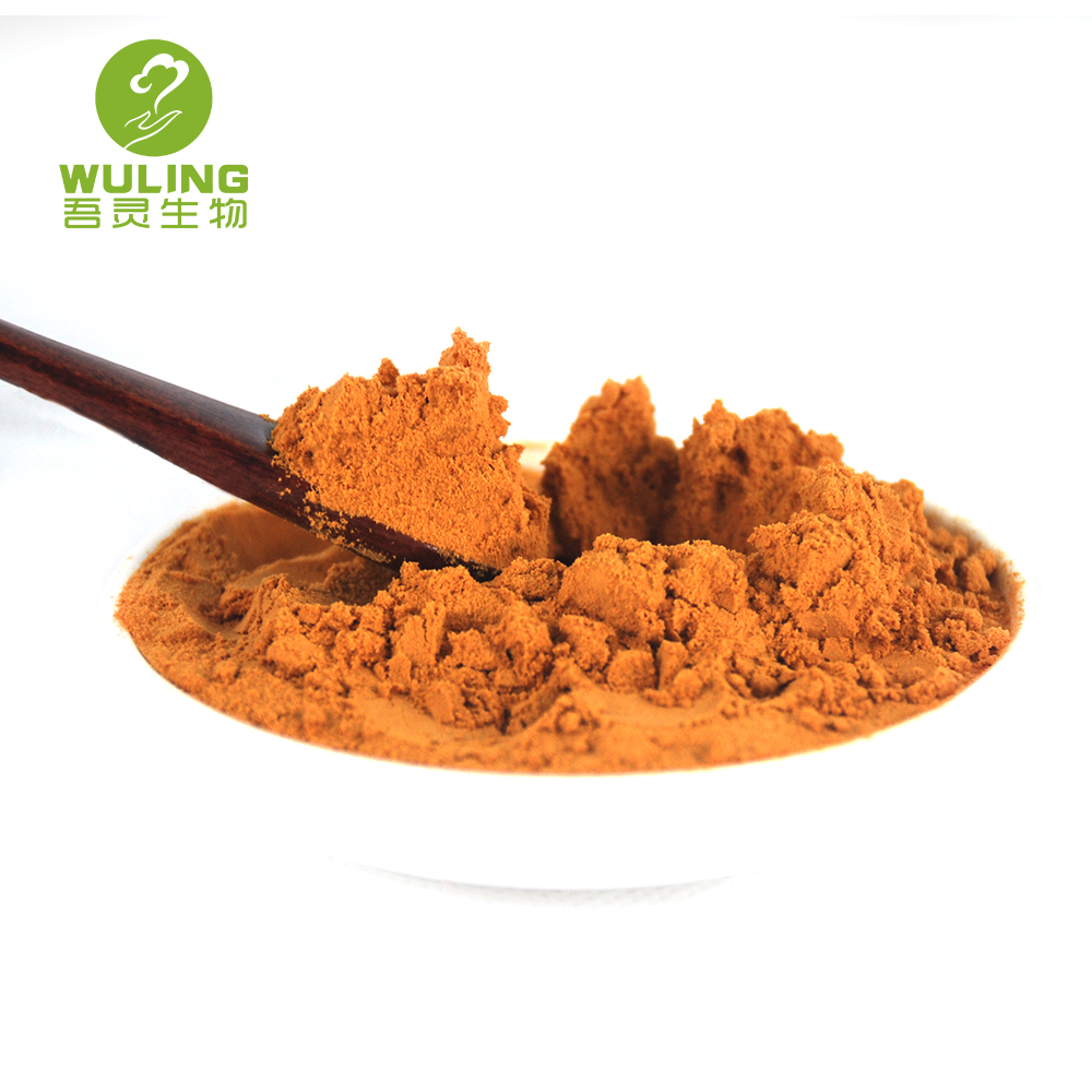OEM/ODM Herbal 7 Mushroom Extract Powder 100g, Maitake Lion's Mane Chaga Shiitake Cordyceps Ganoderma Extract 30%polysaccharides