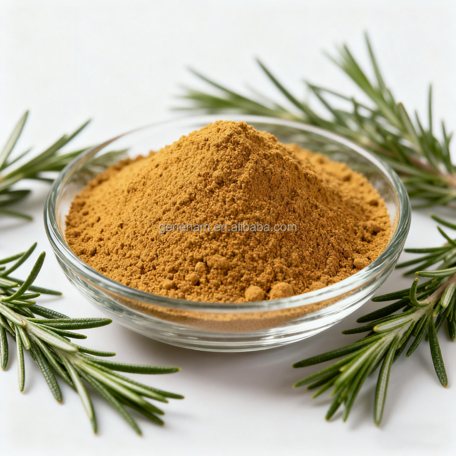 Rosemary Extract Rosmarinic Acid Powder for Natural Hair Health Solutions
