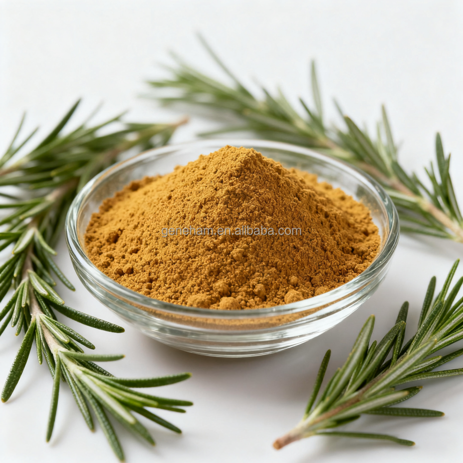 Rosemary Extract Rosmarinic Acid Powder for Natural Hair Health Solutions