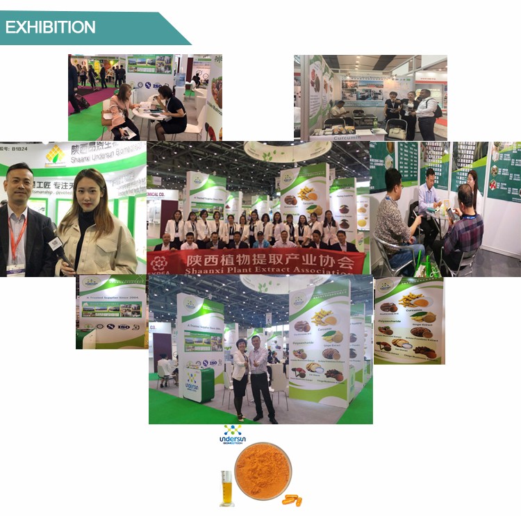 Exhibition Photo