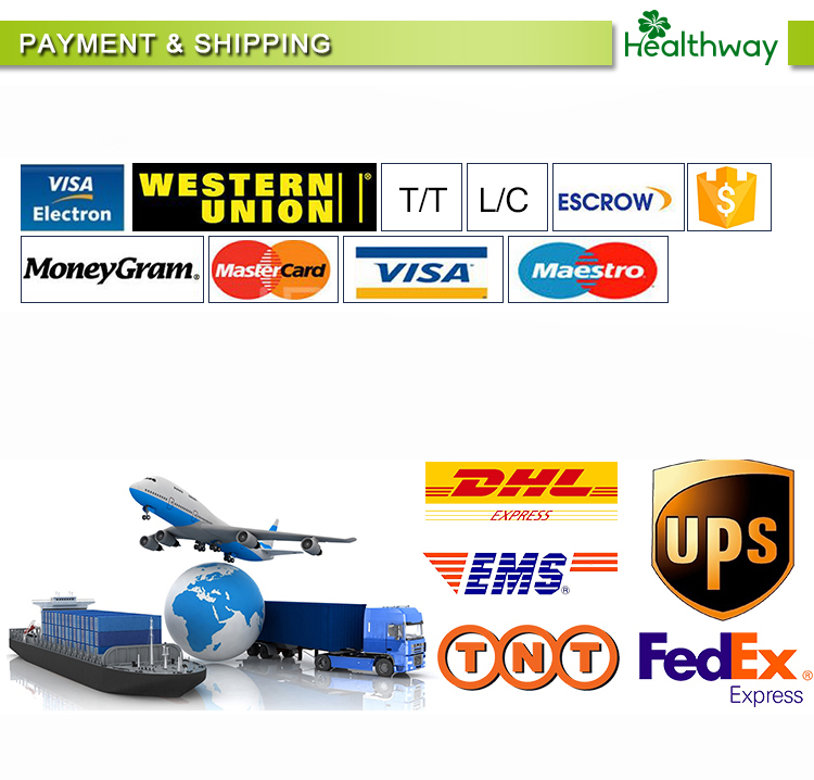 Shipping and Packaging Standards