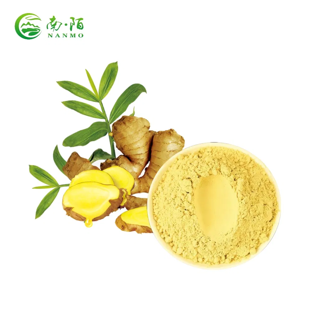 High Quality Chinese Herbal Extract Dried Ginger Extract