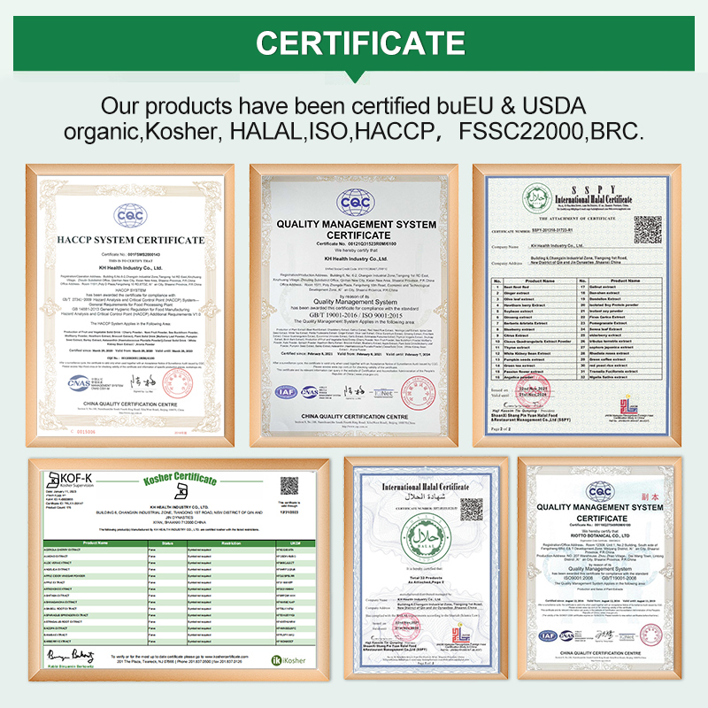 Natural Plant Extract 2.5% 5% 8% 10% Ashwagandha Root Extract Ashwagandha Liquid Powder Extract Withanolides