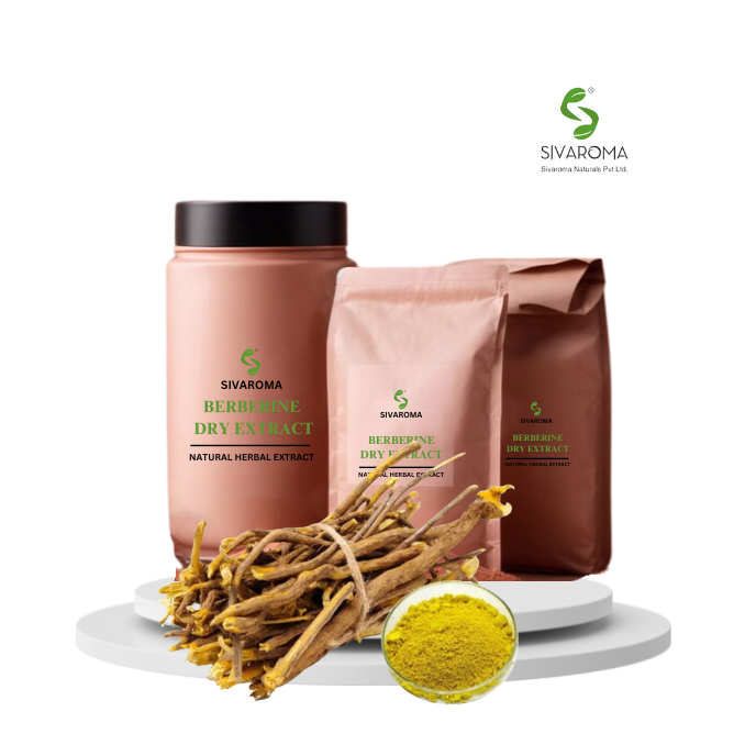 Bulk Standardized Wild Berberine Herbal Extract for Medicinal and Supplement Use