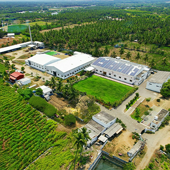 Eco Friendly Cultivation