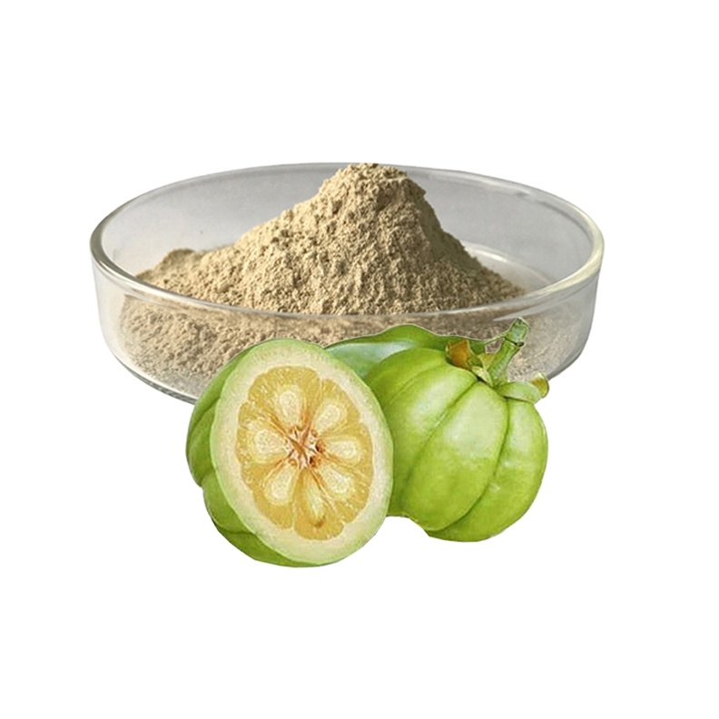Chinese Herbal Pure Garcinia Cambogia Powder Extract for Body Supplement