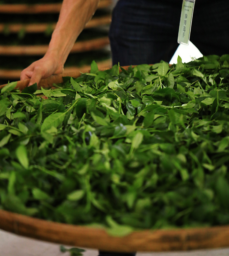 Tieguanyin Details