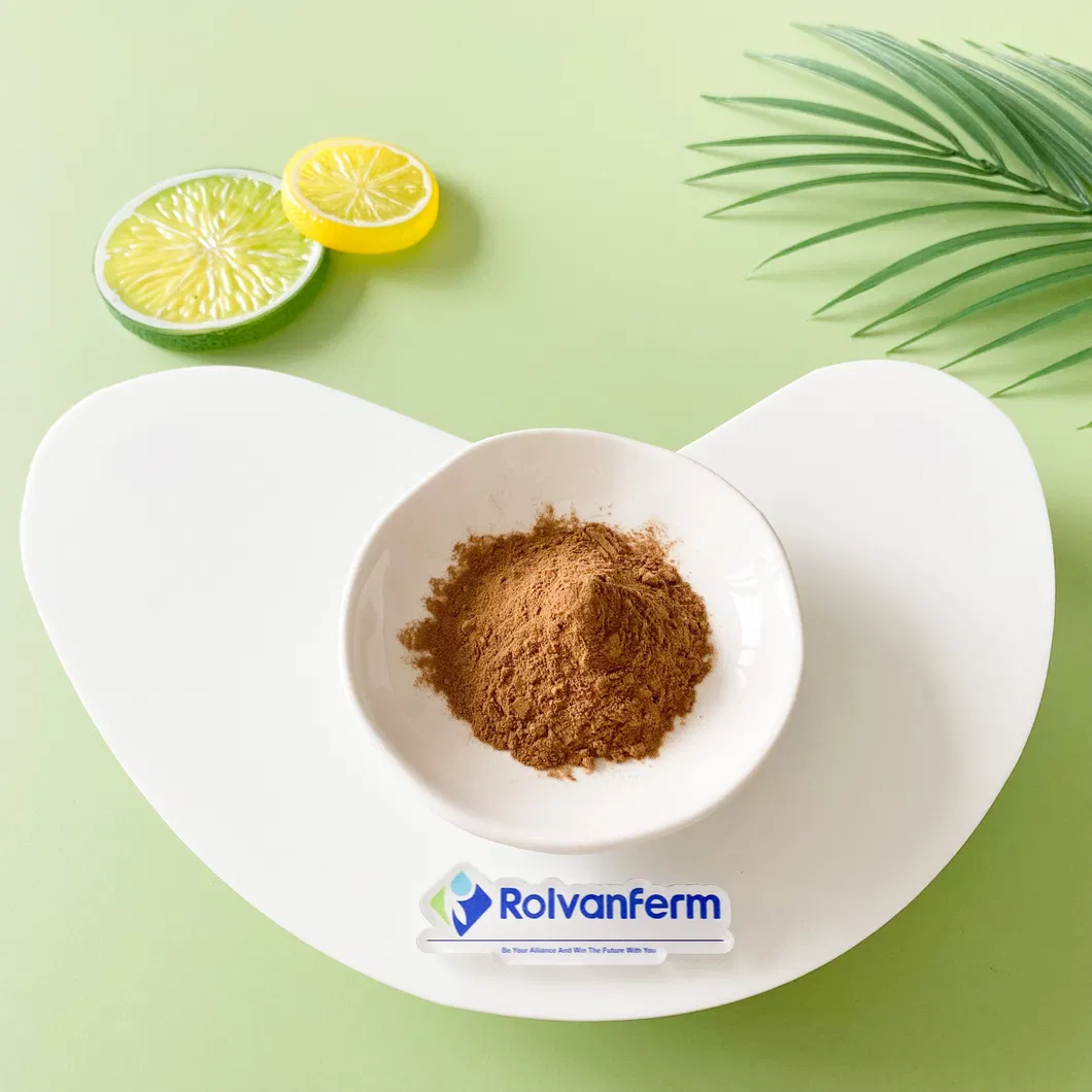 Natural Mulberry Leaf Extract 1-Deoxynojirimycin Powder Food Grade Organic Certified