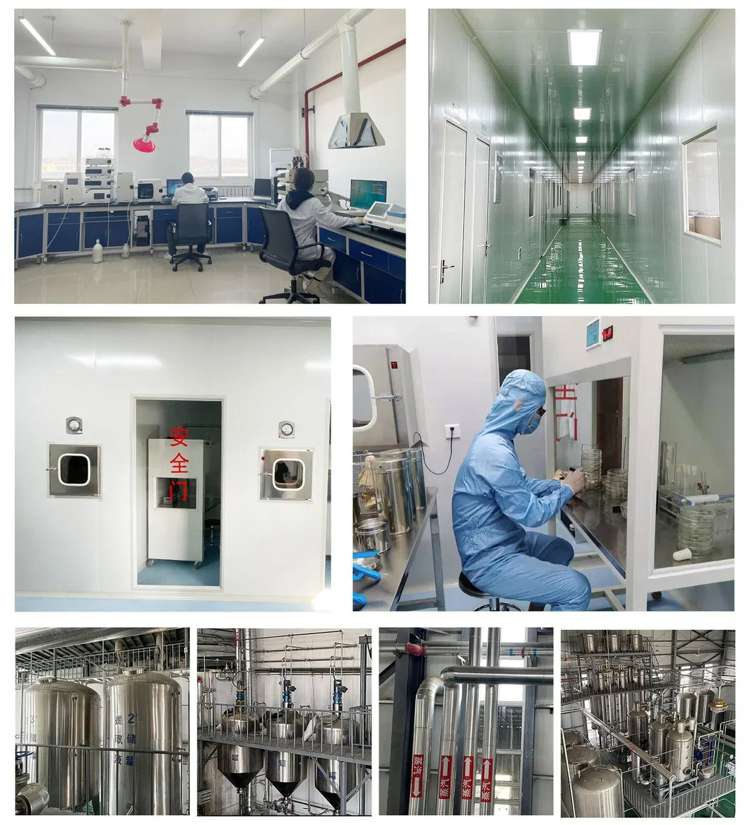 20%-50% Herbal Extract Water Soluble CAS 93164-89-7 False Purslane Extract/Bacopa Monnieri Extract Powder