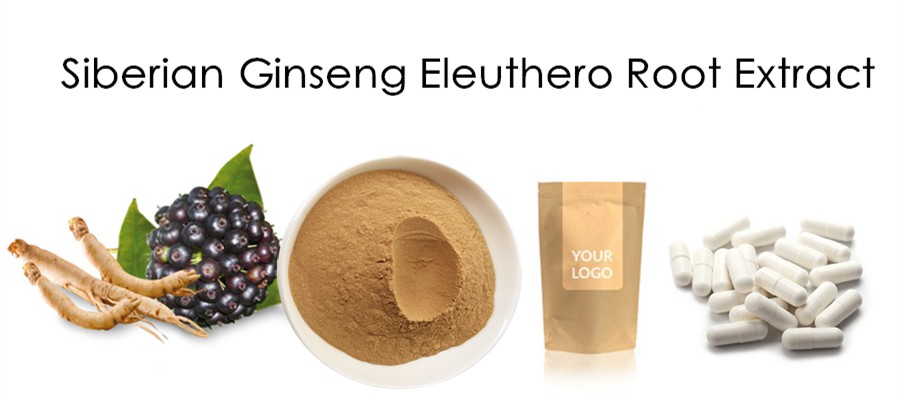 Siberian Ginseng Extract Banner