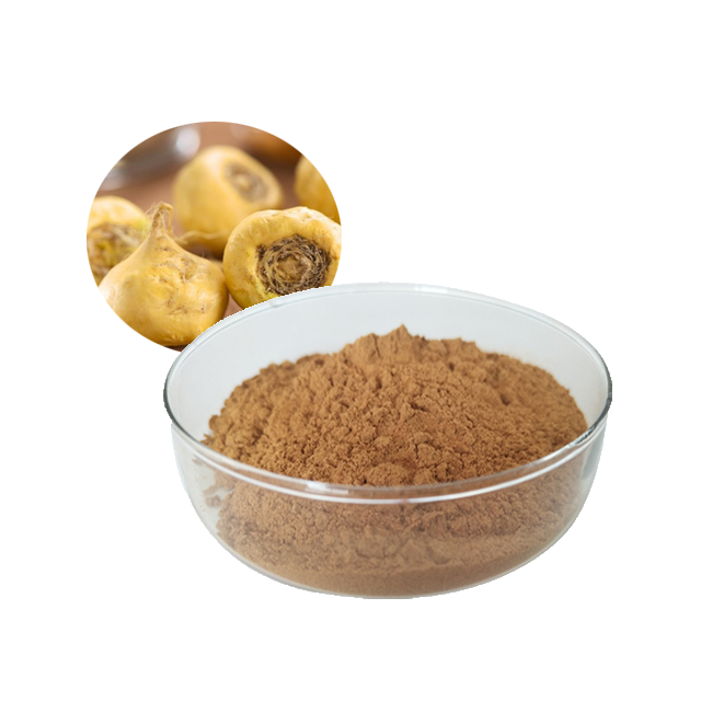 Zhengdi Factory Hot Selling Organic Black Maca Root Extract Powder in Bulk