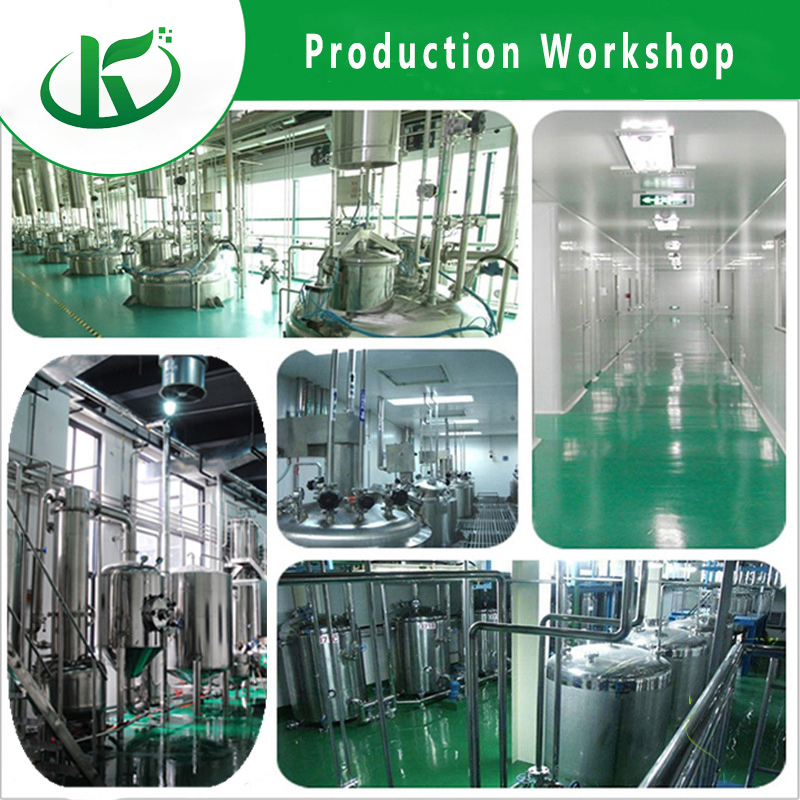 Manufactural Supply Natural Organic Wheat Grass Juice Powder Herbal Vitamins And Supplements
