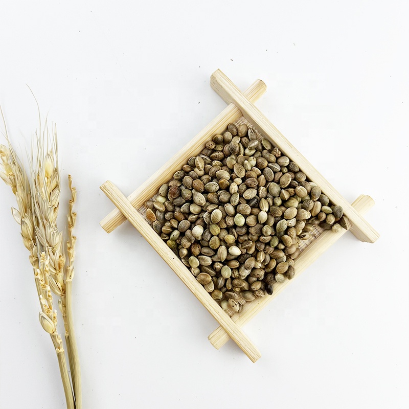 Manufacture Offer Organic Hemp Seed for Sale Extract Powder