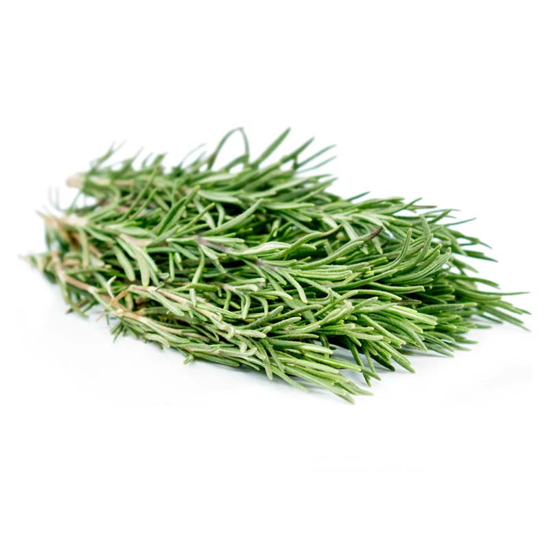 Organic Plant Extract Rosemary 5% 10% Carnosic Acid 3650-09-7 Water Soluble Rosemary Extract