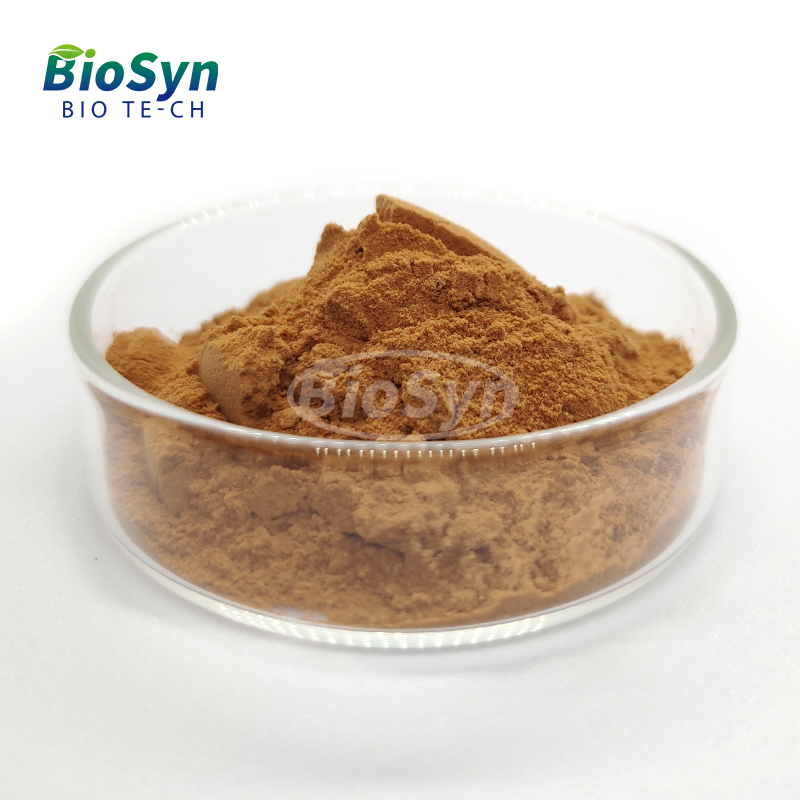 BioSyn High Quality Plant Extract Mulberry Leaf Extract 10% 20%Polysaccharides Powder Herbal Product