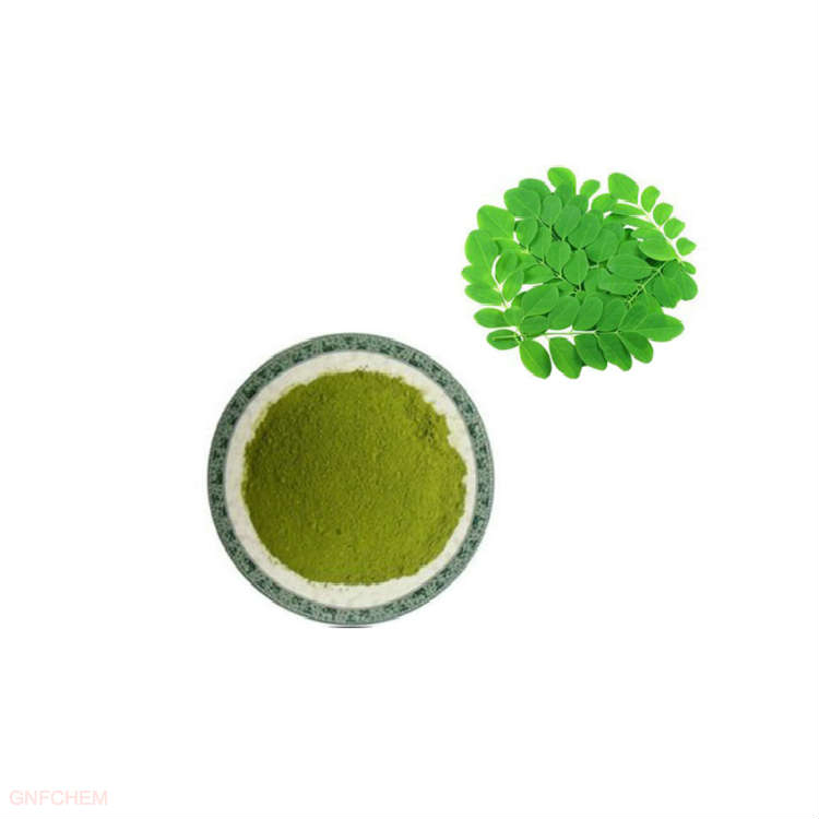 Natural Moringa Leaf Extract Powder - Antioxidant Plant-Based Ingredient for Health &amp; Nutrition
