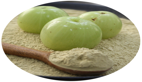 Amla Powder Anti inflammatory benefits