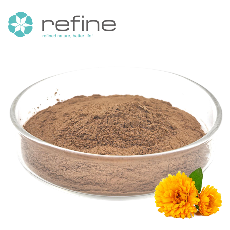 Hot Selling Plant Herb Extract Antioxidant 10:1 20:1 30:1 Pine Leaf Chrysanthemum Lampran Kanna Mesembrine Extract Powder